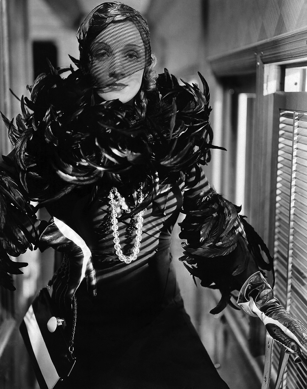 5-Dietrich-Coq-feathers